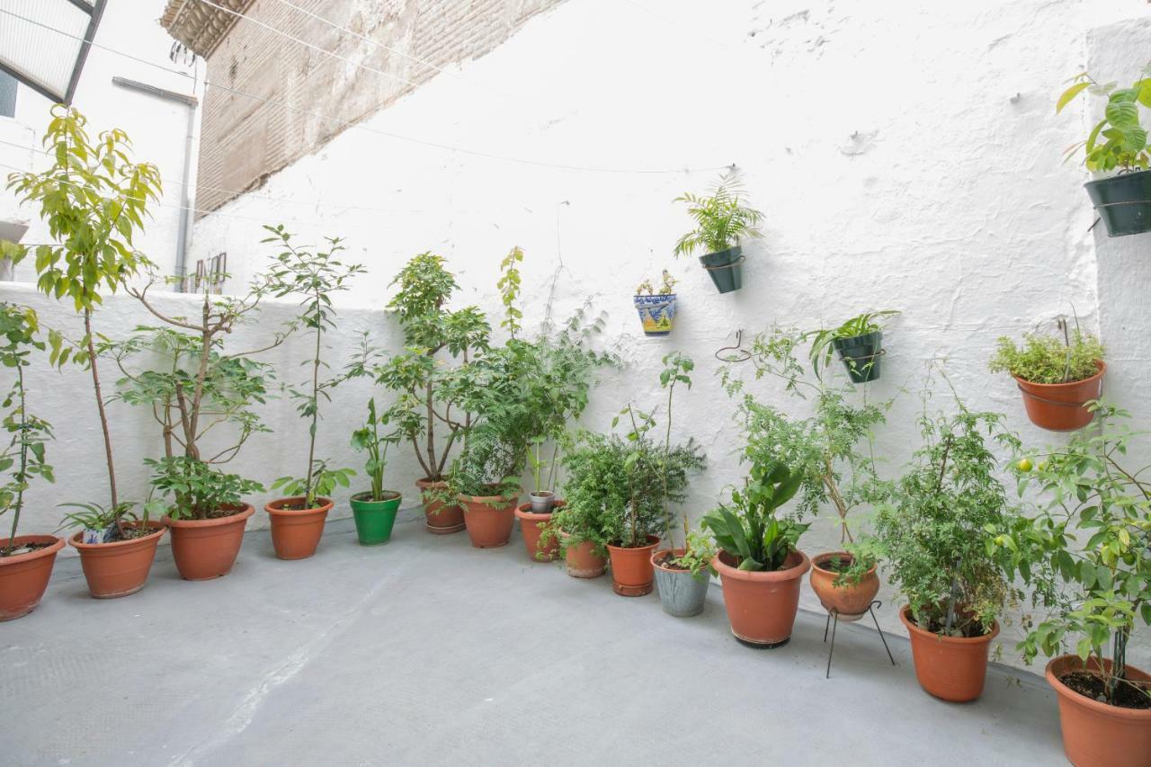 Apartamento Albaycin Granada Dış mekan fotoğraf
